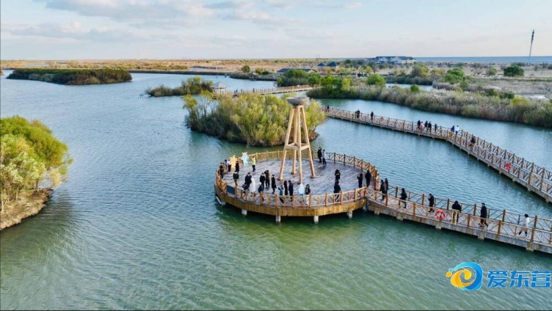 强手如林的 强手如林的