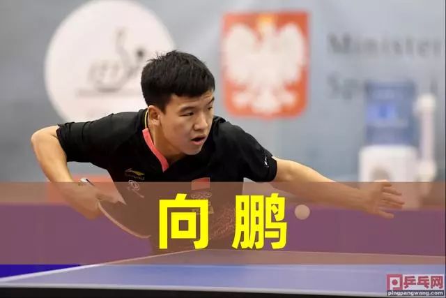 豪门球队 豪门球队