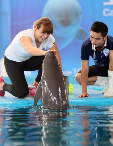 四川男篮 四川男篮